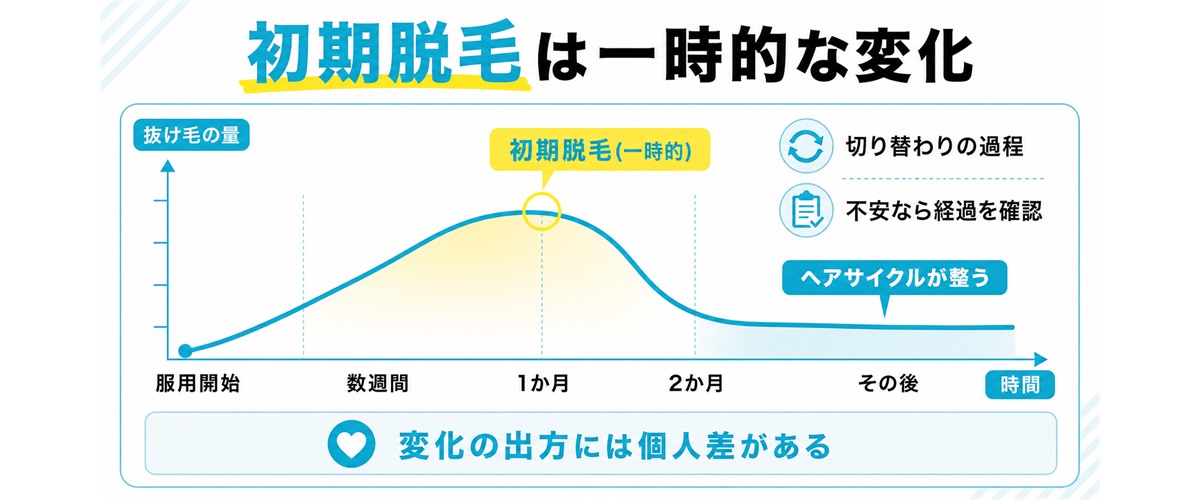 AGA治療薬の初期脱毛が服用開始から数週間で一時的に抜け毛が増えおおむね1か月から2か月で落ち着くヘアサイクルの切り替わりの時間経過を示した図