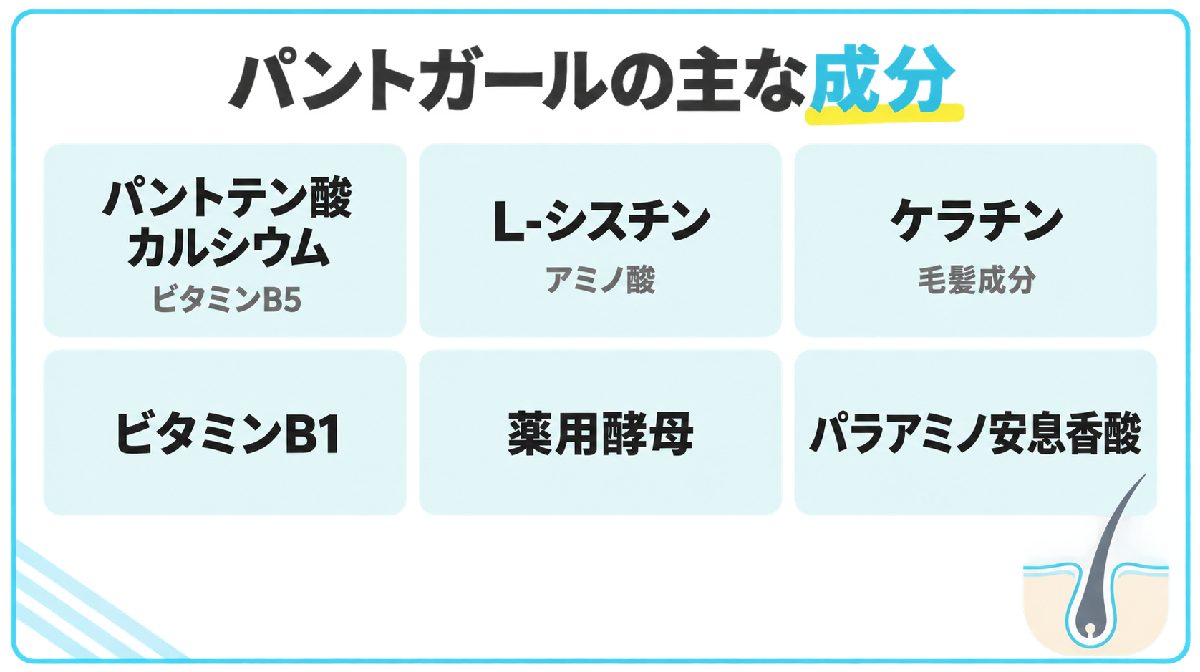 パントガールの主な成分一覧