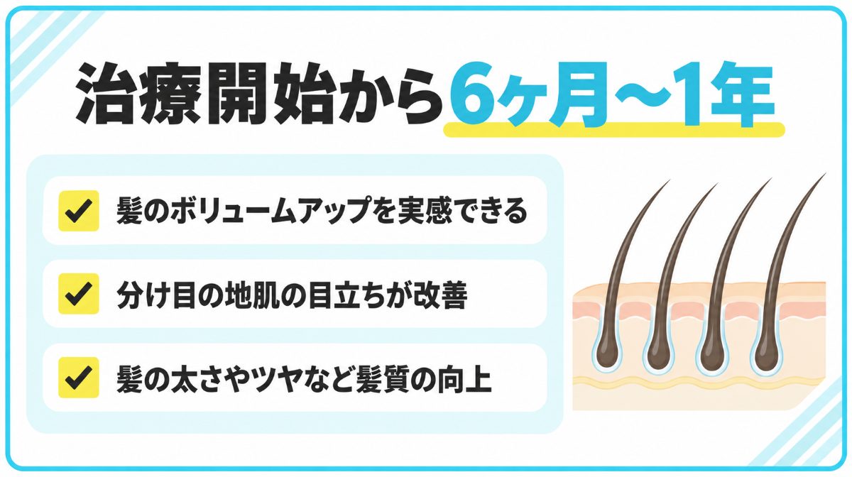 治療開始から6ヶ月～1年