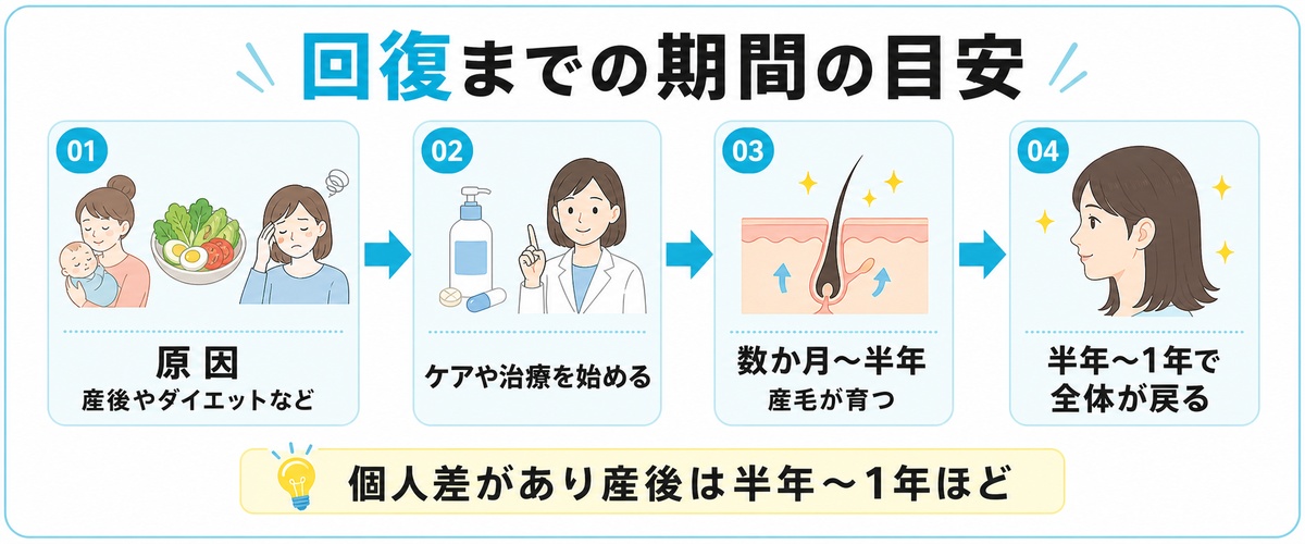 産後の抜け毛から回復までの期間の目安をヘアサイクルに沿って示したタイムライン図