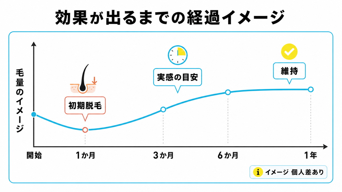 服用開始から初期脱毛で一時的に減り3か月から半年で実感し1年以降は維持に向かう毛量の経過イメージを示した図解