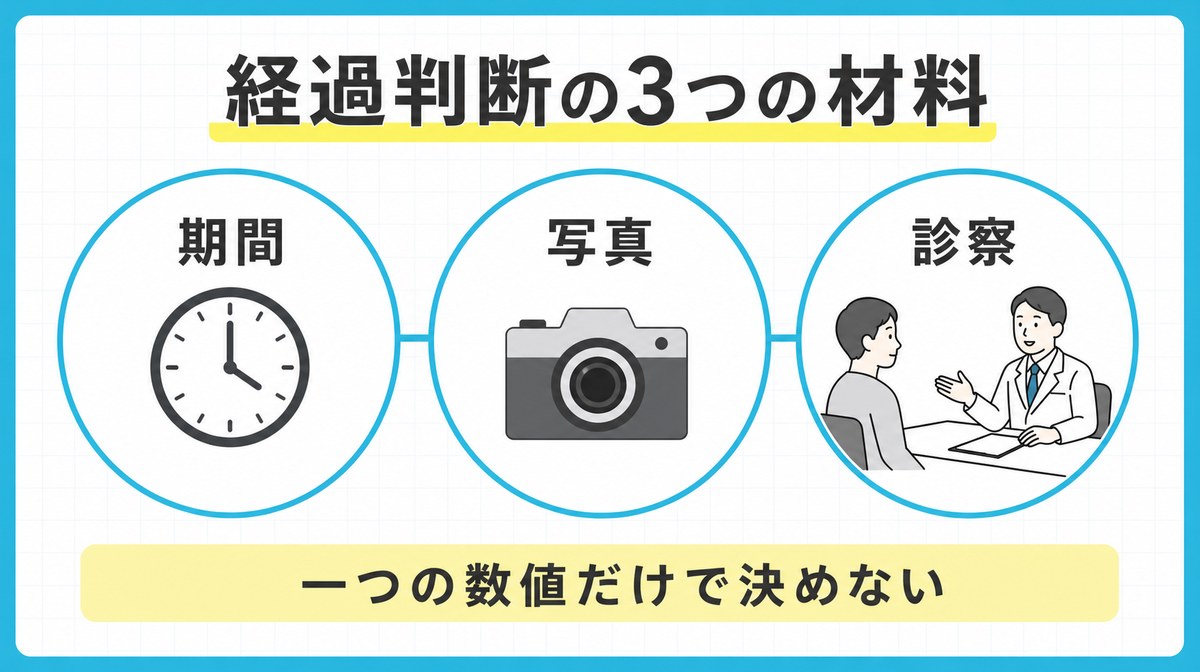 ゴリラクリニックのAGA治療の経過を期間・写真・診察で判断する図