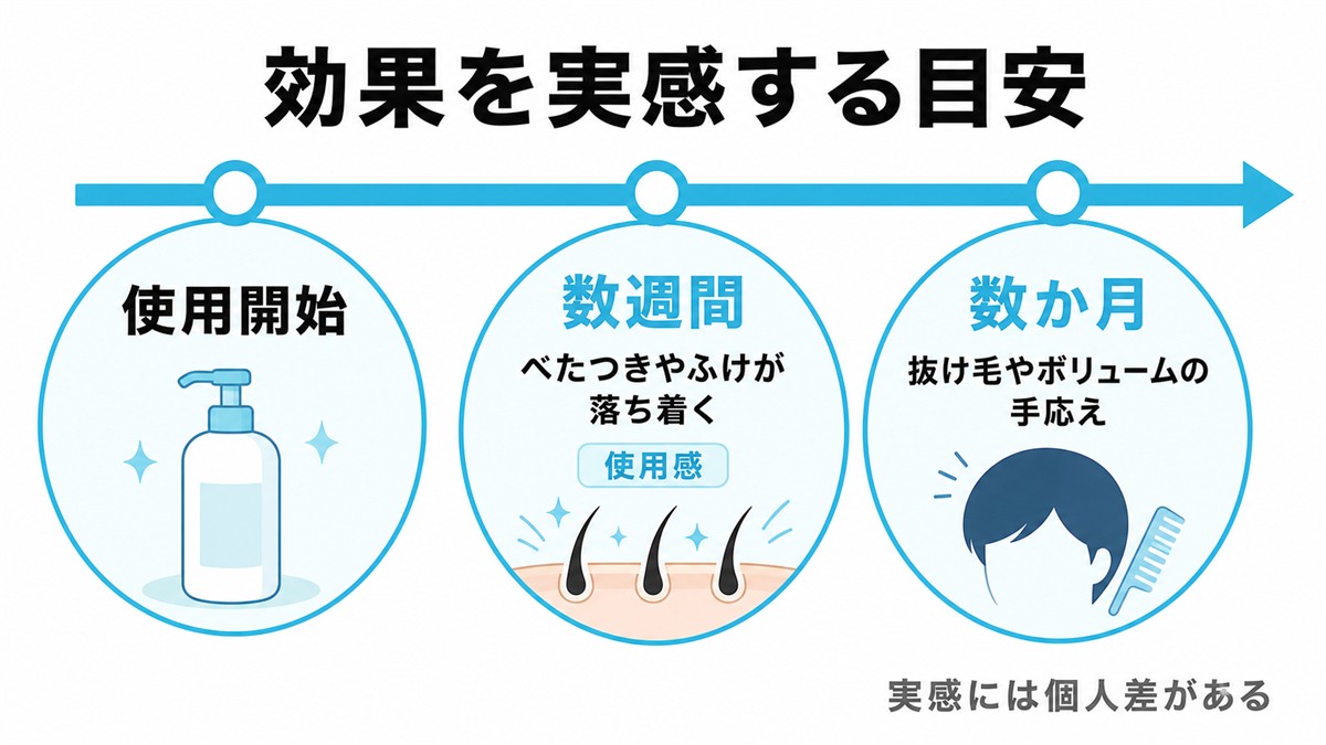 育毛シャンプーの効果を実感する目安を使用開始から数か月までの流れで示したタイムライン図