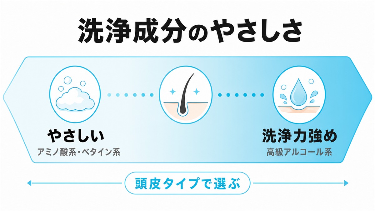 アミノ酸系やベタイン系から高級アルコール系まで洗浄成分のやさしさと洗浄力を並べたスケール図