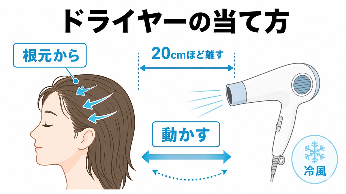 ドライヤーを頭から20cmほど離し根元から動かしながら乾かす当て方を示した図