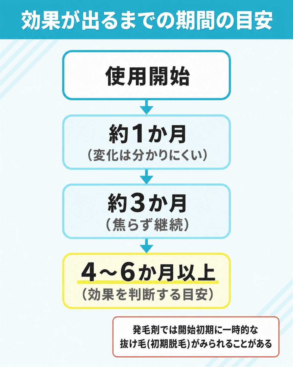 育毛剤と発毛剤で効果が出るまでの期間を使用開始から4〜6か月以上まで縦に示したタイムライン図