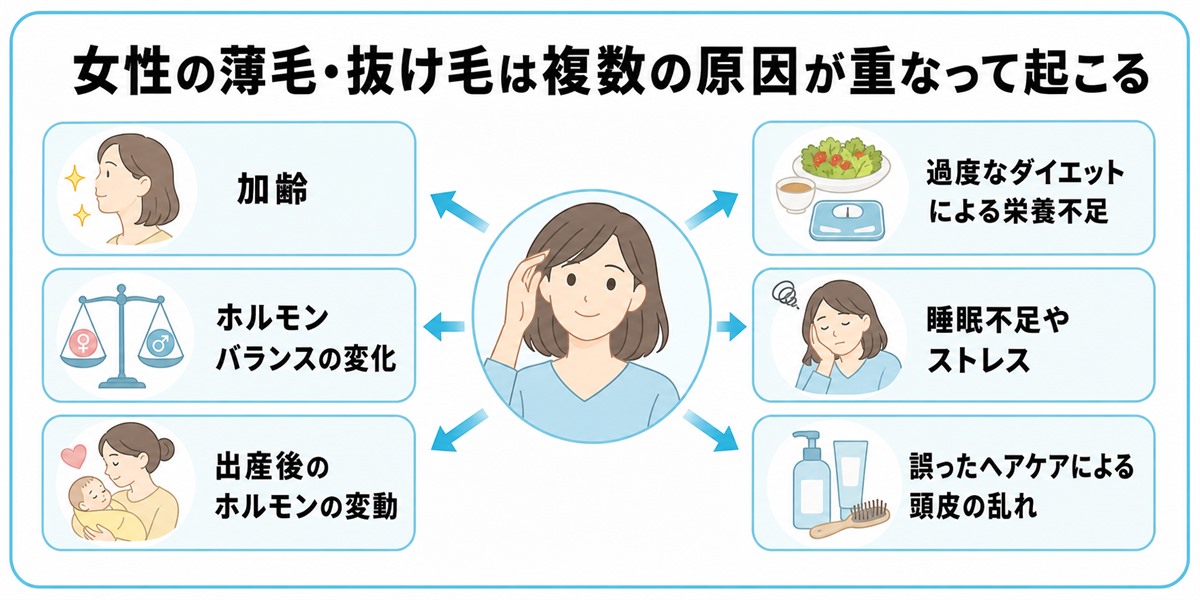 女性の薄毛・抜け毛の主な原因(加齢やホルモン変化・出産後・栄養不足・睡眠不足やストレス・誤ったヘアケア)を頭皮を中心に放射状に示した図
