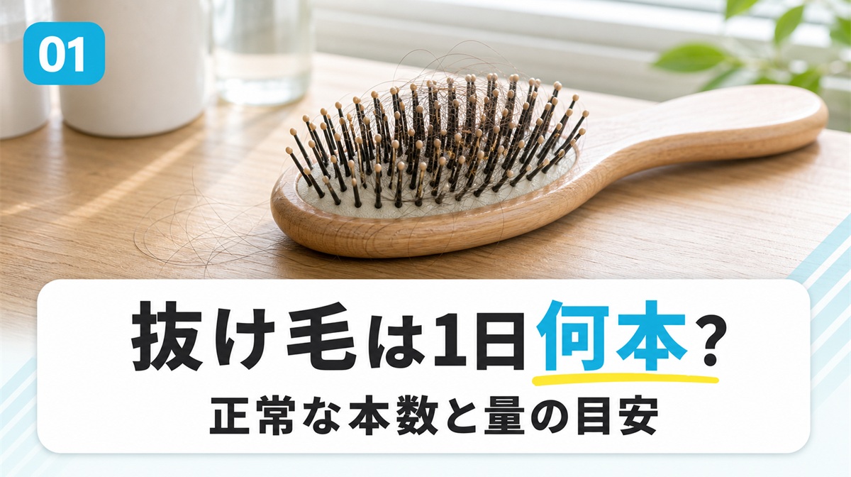 洗面台に置いたヘアブラシに抜け毛が絡む様子を写した本数の目安の見出しイメージ