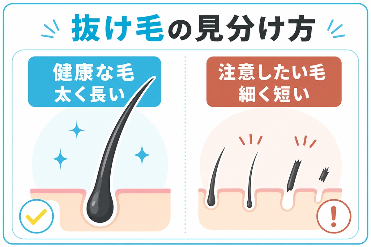 太く長い健康な毛と細く短い注意したい毛の形状を比べた図
