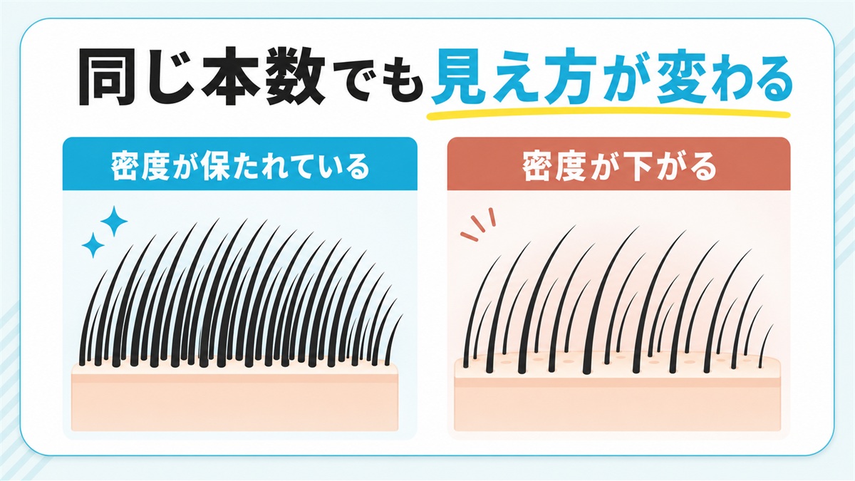 同じ本数でも毛の太さと密度で地肌の見え方が変わることを示した図