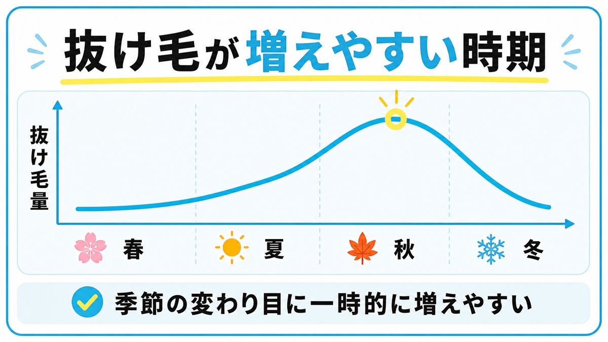 春夏秋冬の抜け毛量の変化と秋に増えやすい傾向を示した図