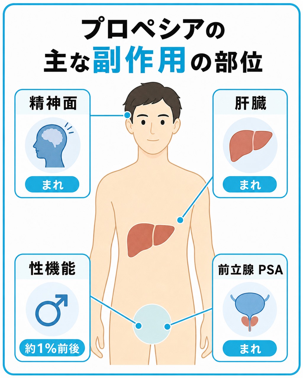 プロペシアの主な副作用である性機能や肝臓と前立腺PSAや精神面の部位を人体図で示した図解