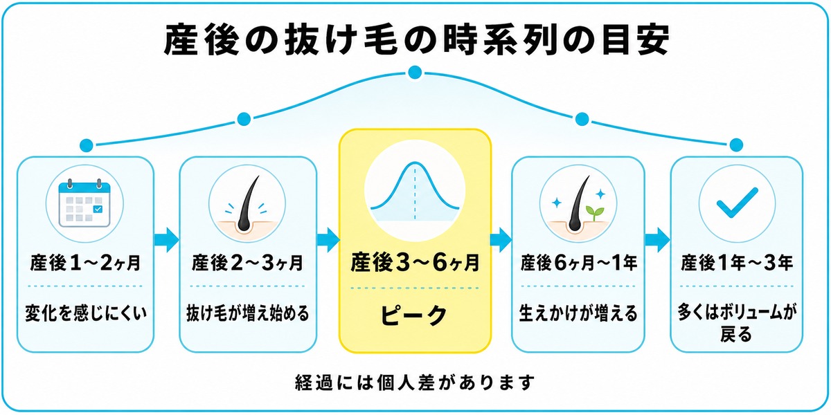 産後2〜3ヶ月で増え始め3〜6ヶ月でピーク1年前後で落ち着く産後の抜け毛の時系列を示した図