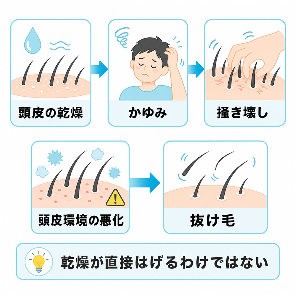 乾燥からかゆみと掻き壊しを経て頭皮環境が悪化し抜け毛につながる間接的な流れを示した図