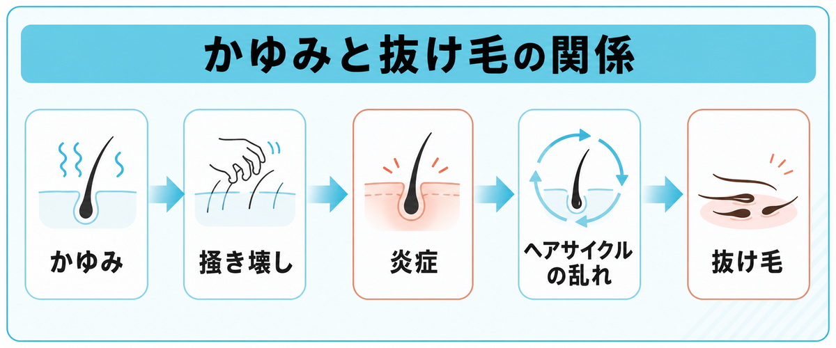 かゆみから掻き壊し・炎症を経てヘアサイクルが乱れ抜け毛につながる関係を示したフロー図