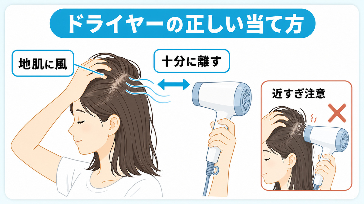 ドライヤーを頭から十分に離し指で髪を分けて地肌に風を届ける正しい当て方を示したhow-to図