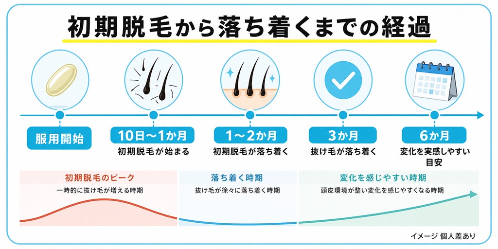 ザガーロの服用開始から初期脱毛が始まり落ち着いて発毛へ向かうまでの経過を示した時間軸の図