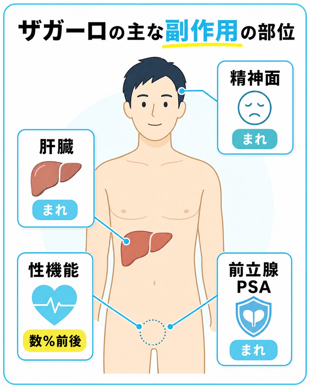 ザガーロの主な副作用が現れうる性機能や肝臓や前立腺PSAや精神面の部位を示した図