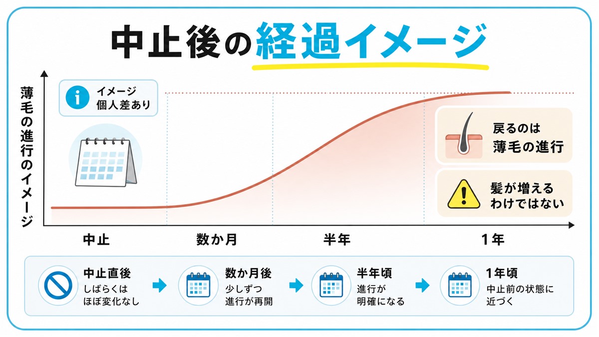 ザガーロを中止した後にDHTの影響が戻り数ヶ月から1年かけてAGAの進行が元へ近づく経過のイメージ図